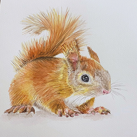 Denise McGowan 2026 at the Festival Drayton Centre