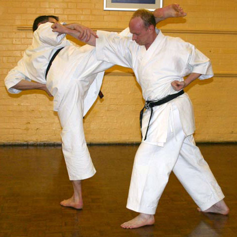 Ataru Shotokan Karate Club at the Festival Drayton Centre