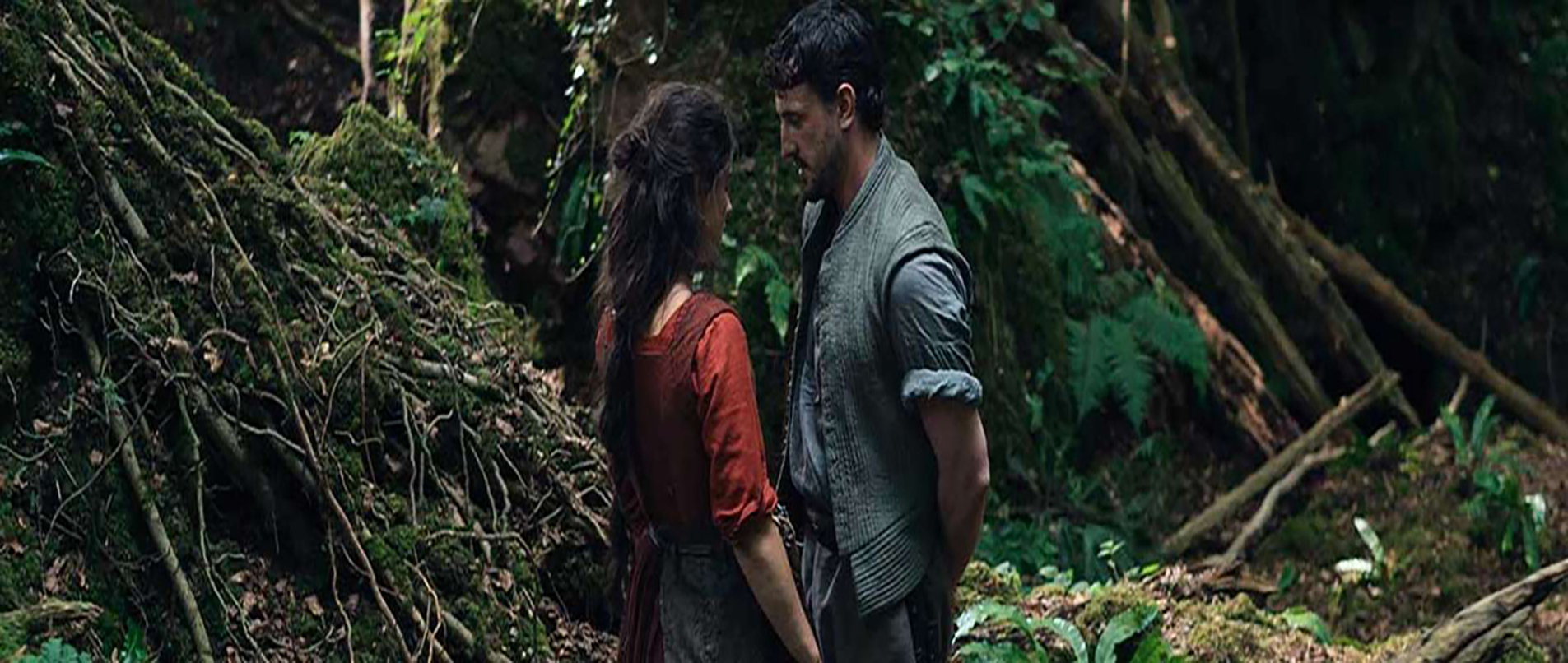 HAMNET (12A) at the Festival Drayton Centre