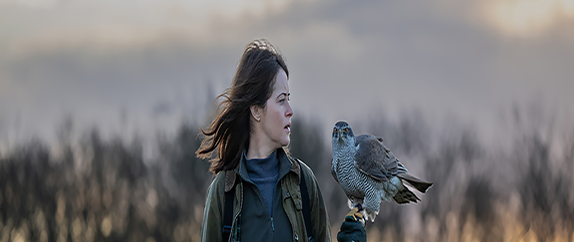 H IS FOR HAWK (12A) at the Festival Drayton Centre