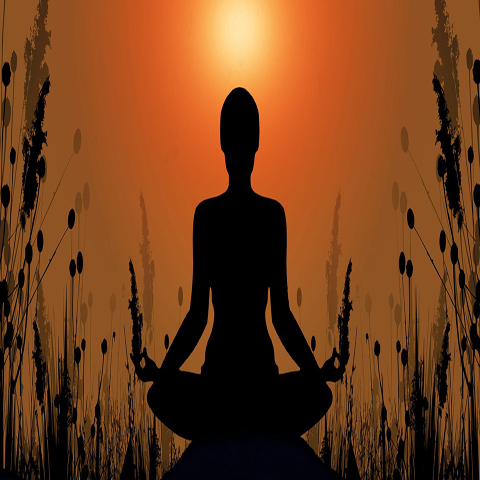 Mindfulness & Meditation Sessions at the Festival Drayton Centre